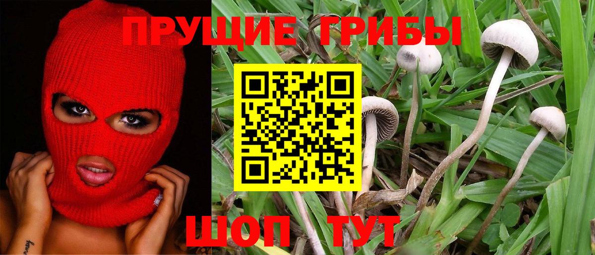 Галлюциногенные грибы мухоморы  Вход с VPN  Ишим 
